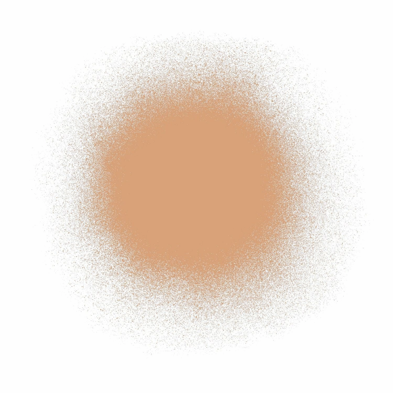 Airbrush Spray Silk Foundation & Buffing Brush