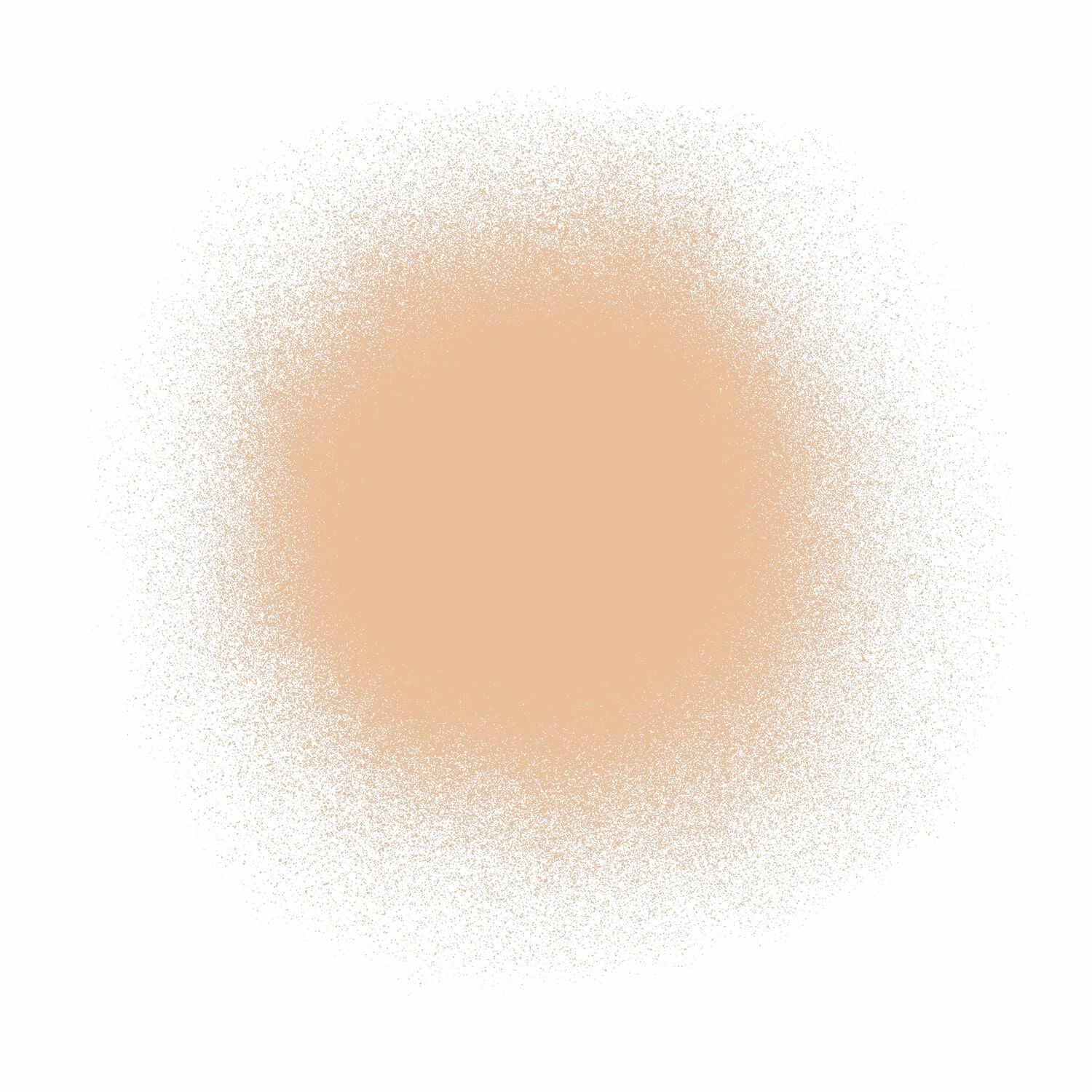 Airbrush Spray Silk Foundation & Buffing Brush