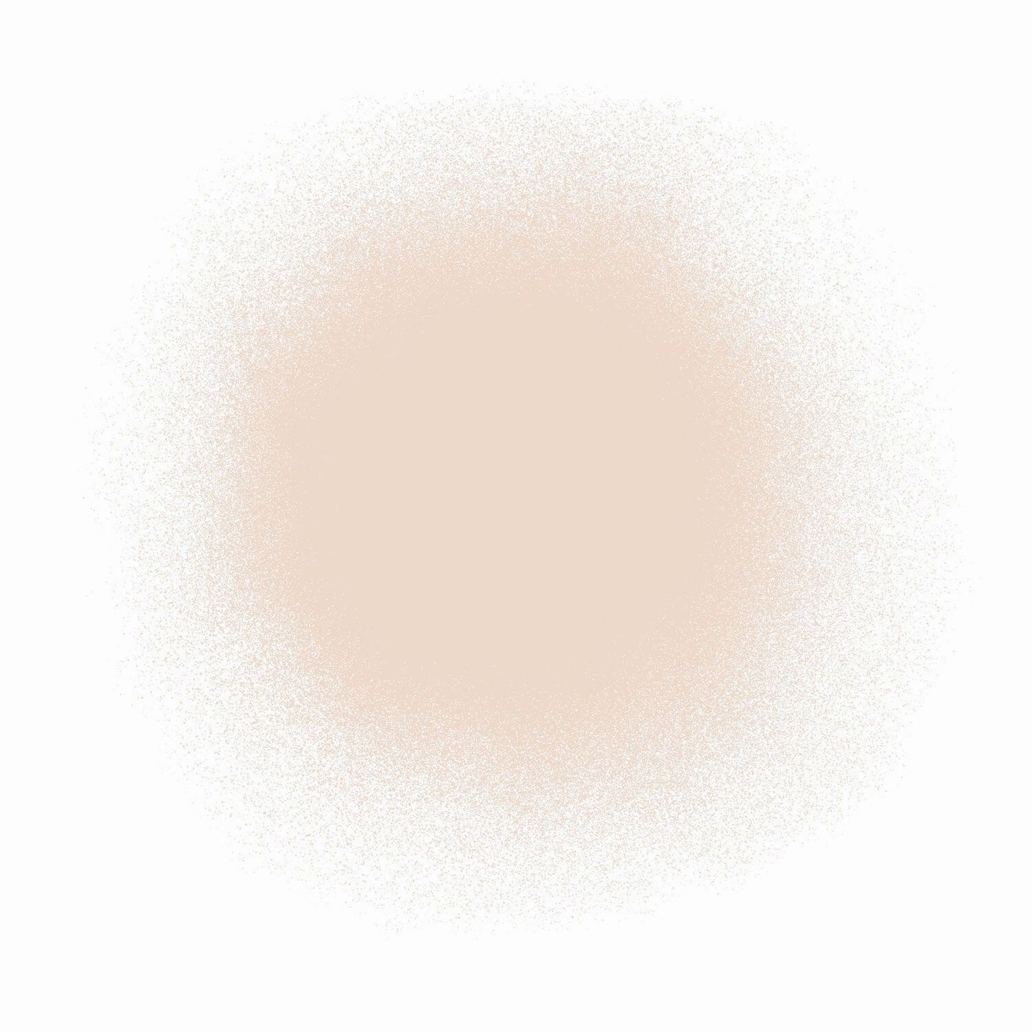 Airbrush Spray Silk Foundation & Buffing Brush