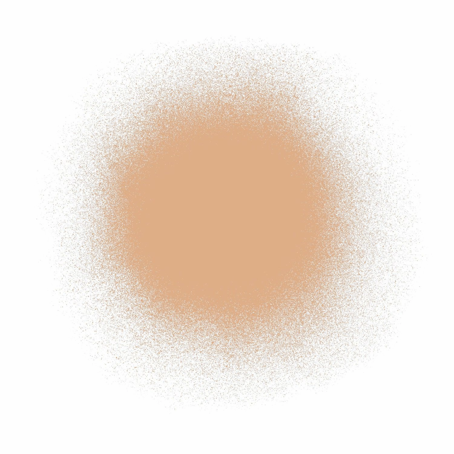 Airbrush Spray Silk Foundation & Buffing Brush