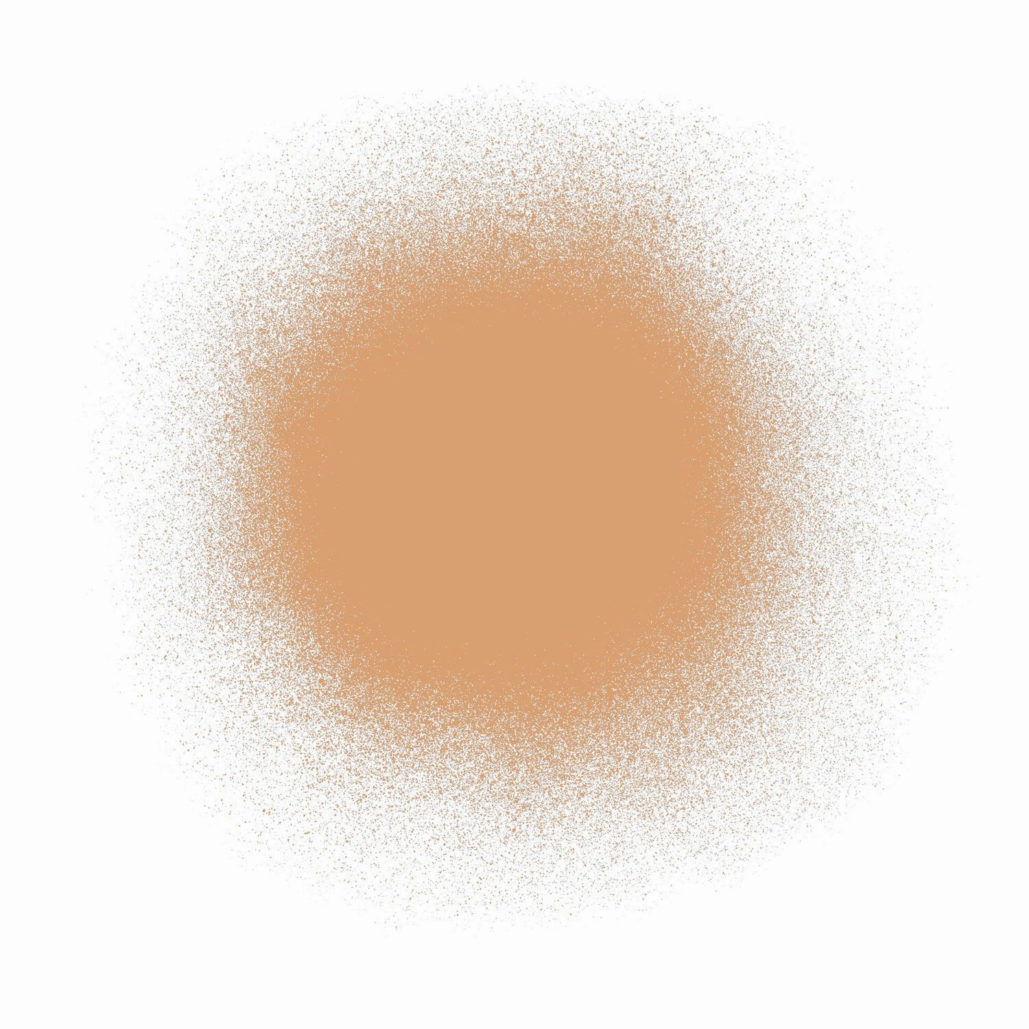 Airbrush Spray Silk Foundation & Buffing Brush