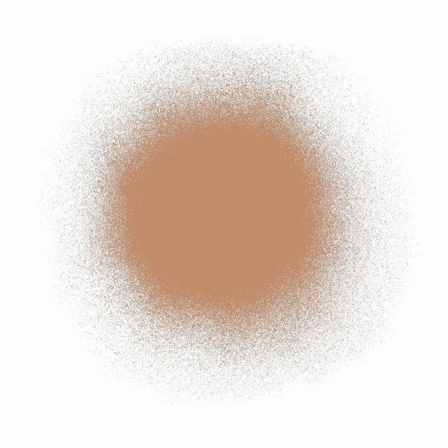 Airbrush Spray Silk Foundation & Buffing Brush
