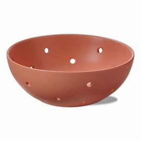 Berry Strainer