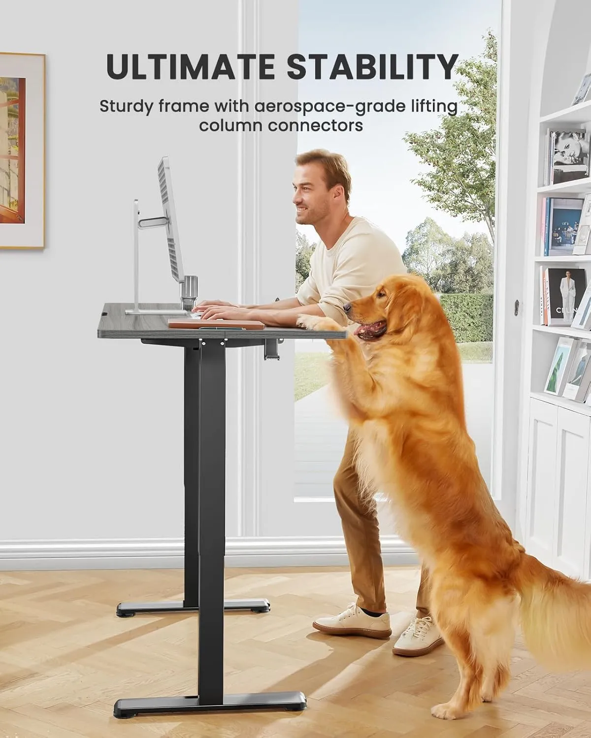 ErGear Height Adjustable Electric Standing Desk, 48 x 24 Inches Sit Stand up Desk, Memory Computer Home Office Desk with Two-Piece Desktop (Grey)