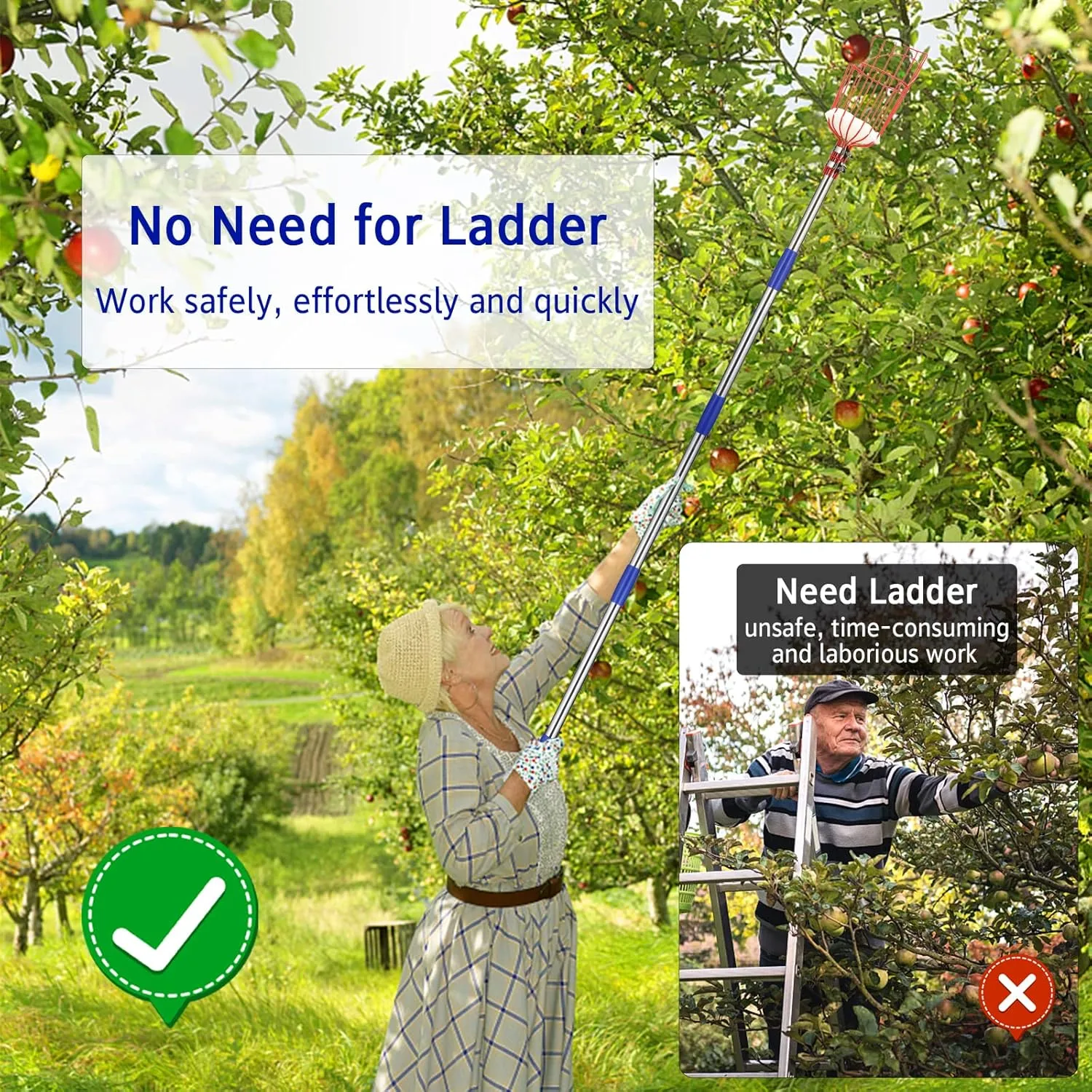 Fruit Picker Pole with Basket - 13 Foot Adjustable Height Fruit Picker Tool with Stainless Steel Fruit Picking Pole for Apple Cherry Berry Fit Orange Blueberry Mango Avocado Lemon Peach