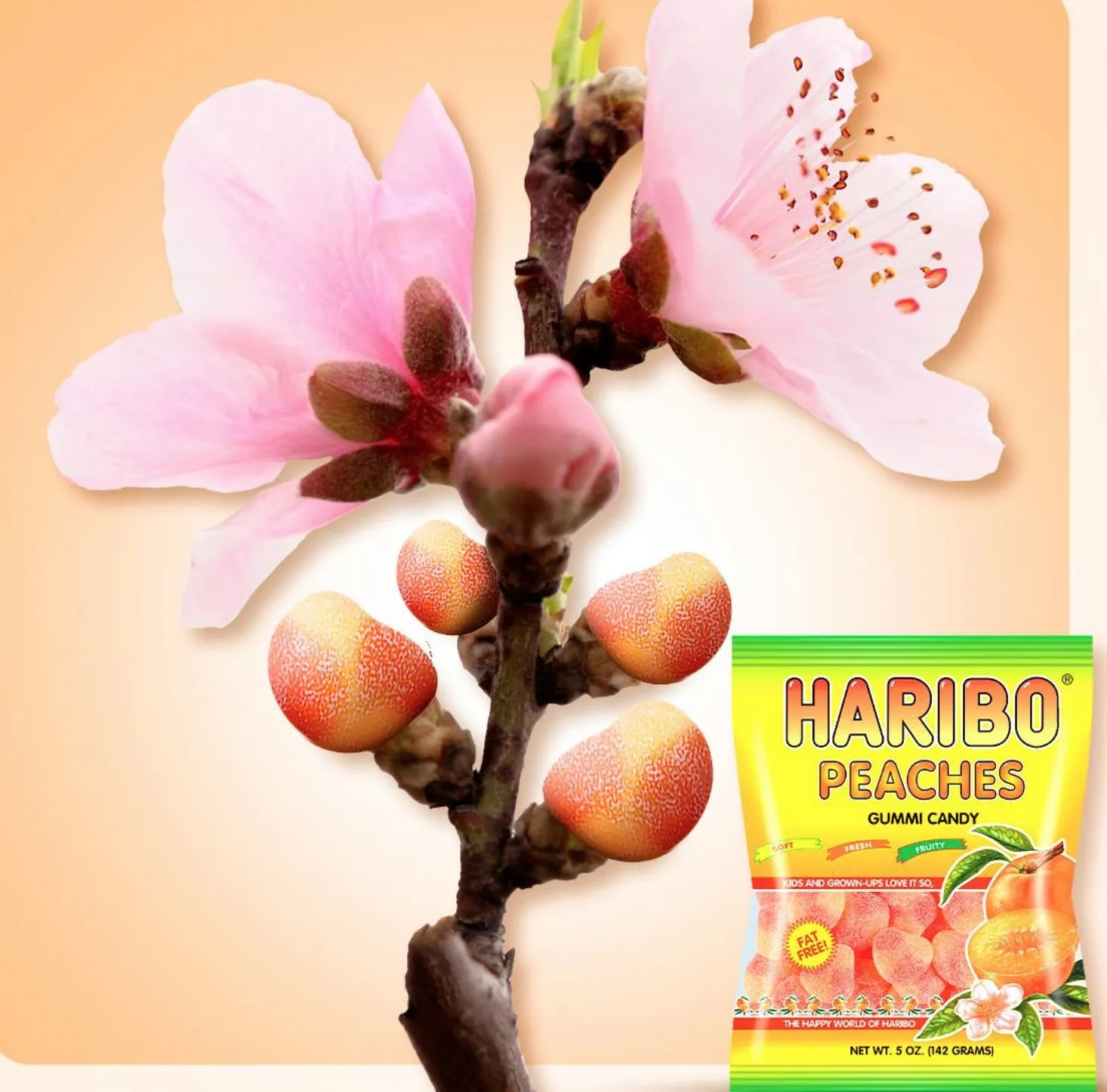 HARIBO Gummi Candy, Peaches Gummy Candy, 5 Ounce Share Size Bags (Pack of 12) Delicious Soft & Chewy Sweet Snacks, Fruity Peach Flavor