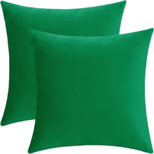 Jeneoo Set of 2 Decorative Throw Pillow Covers Soft Velvet Comfy Solid Couch Cushion Cover Decor (Bright Green, 20 x 20 Inches)