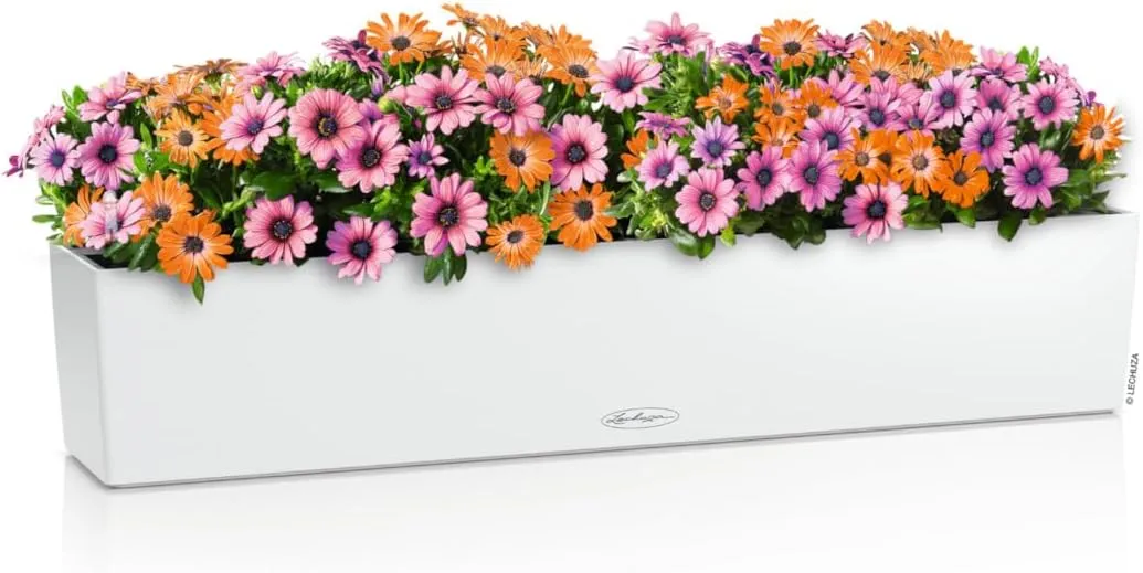 Lechuza - Balconera Colour 100 Planter, Balcony Box with Watering System, Water Level Indicator and Plant Insert, Matte Surface, 99 x 19 x 19 cm, 15919