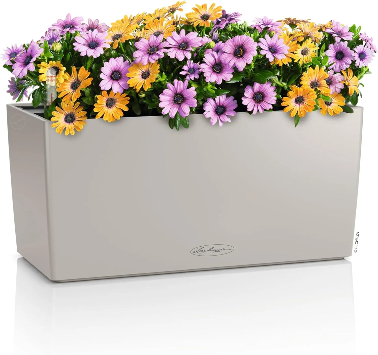 Lechuza - Balconera Colour 40 Planter, Sand Brown, Balcony Box with Watering System, Water Level Indicator and Plant Insert, Matte Surface, 40 x 19 x 19 cm, 15477