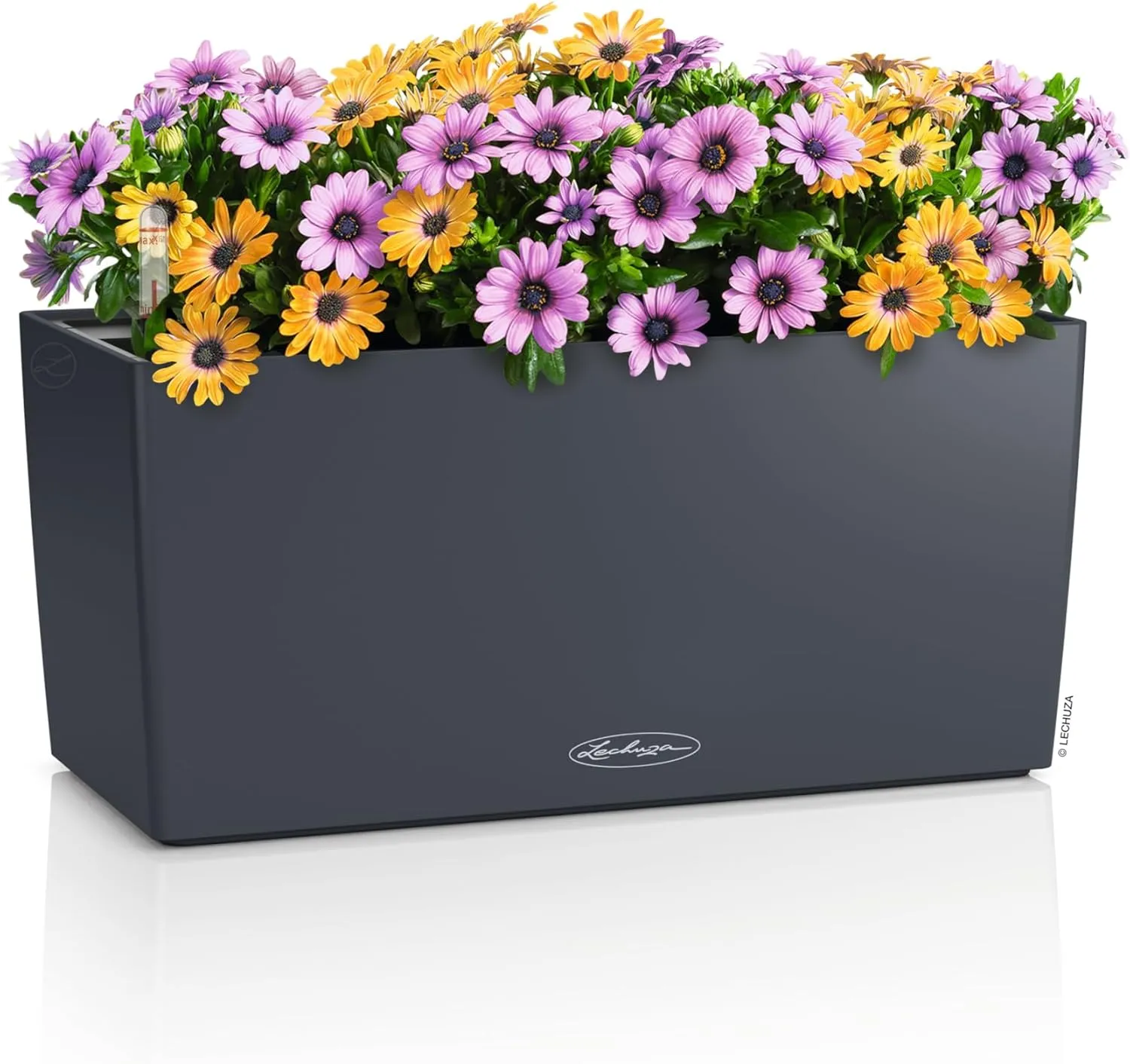 Lechuza - Balconera Colour 40 Planter, Slate Grey, Balcony Box with Watering System, Water Level Indicator and Plant Insert, Matte Surface, 40 x 19 x 19 cm, 15478