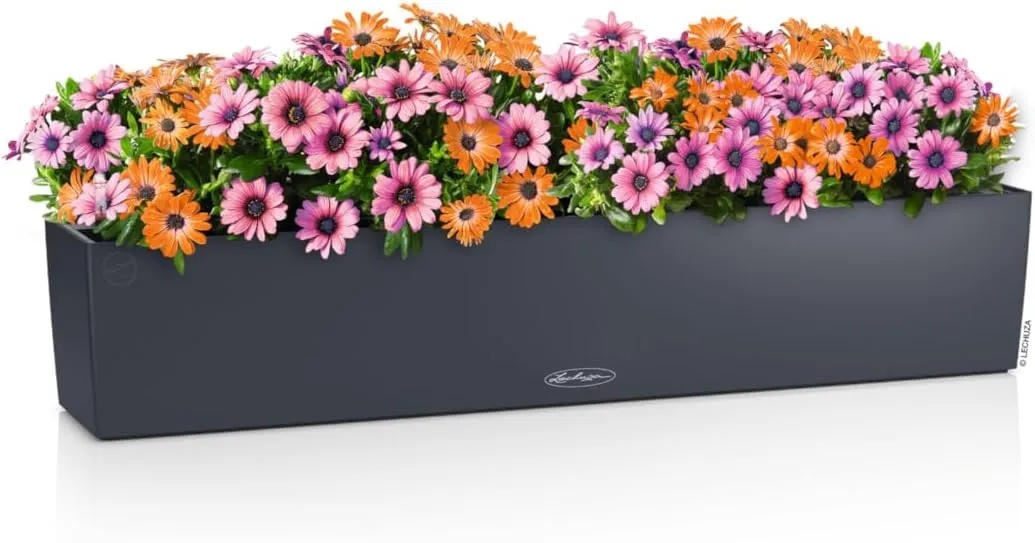 Lechuza - Balcony Planter Colour 100 Slate Grey, Balcony Box with Watering System, Water Level Indicator and Plant Insert, Matte Surface, 99 x 19 x 19 cm, 15918