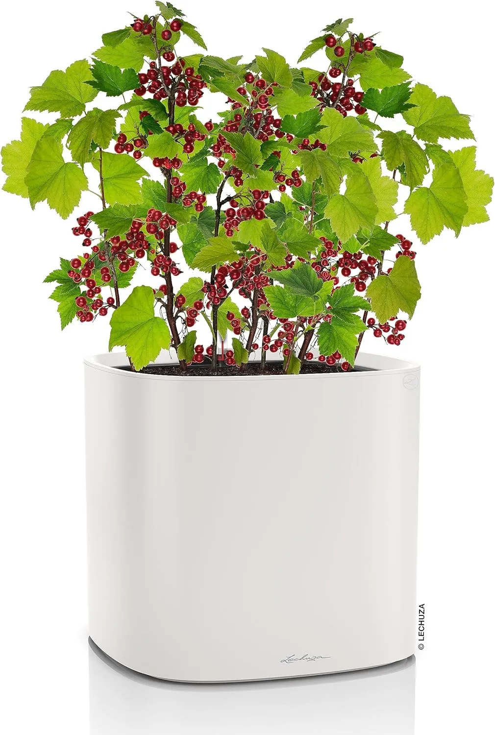 Lechuza PILA Colour Planter Light Grey 15904