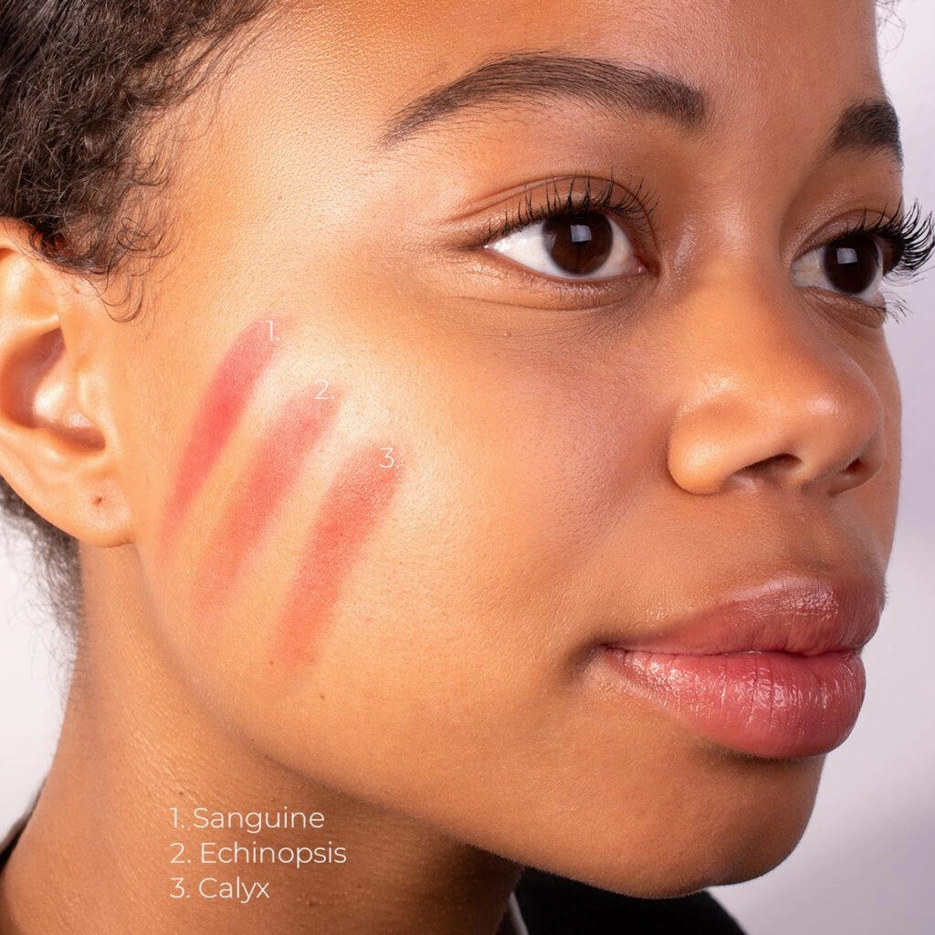 Lethal Cosmetics MAGNETIC™ Face Powder - Blush