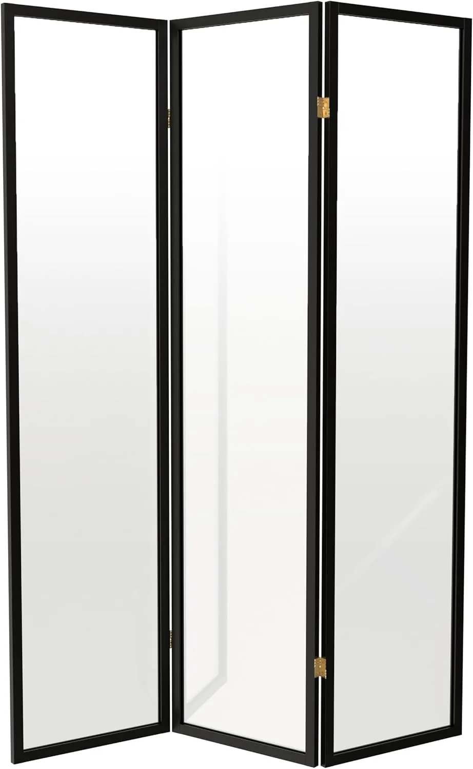 Red Lantern 6 ft. Tall Clear Plastic Partition Black 3 Panel