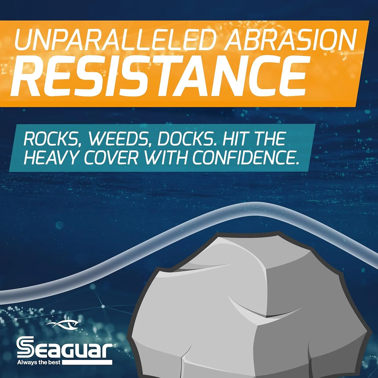 Seaguar Gold Label Fresh & Saltwater Fishing Leader Line for Clear Water, 100% Fluorocarbon, Clear, Multiple Sizes