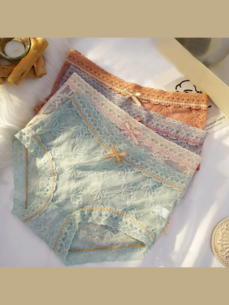 Soft Floral Lace Brief Panty