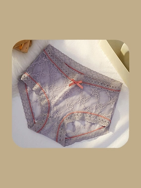 Soft Floral Lace Brief Panty