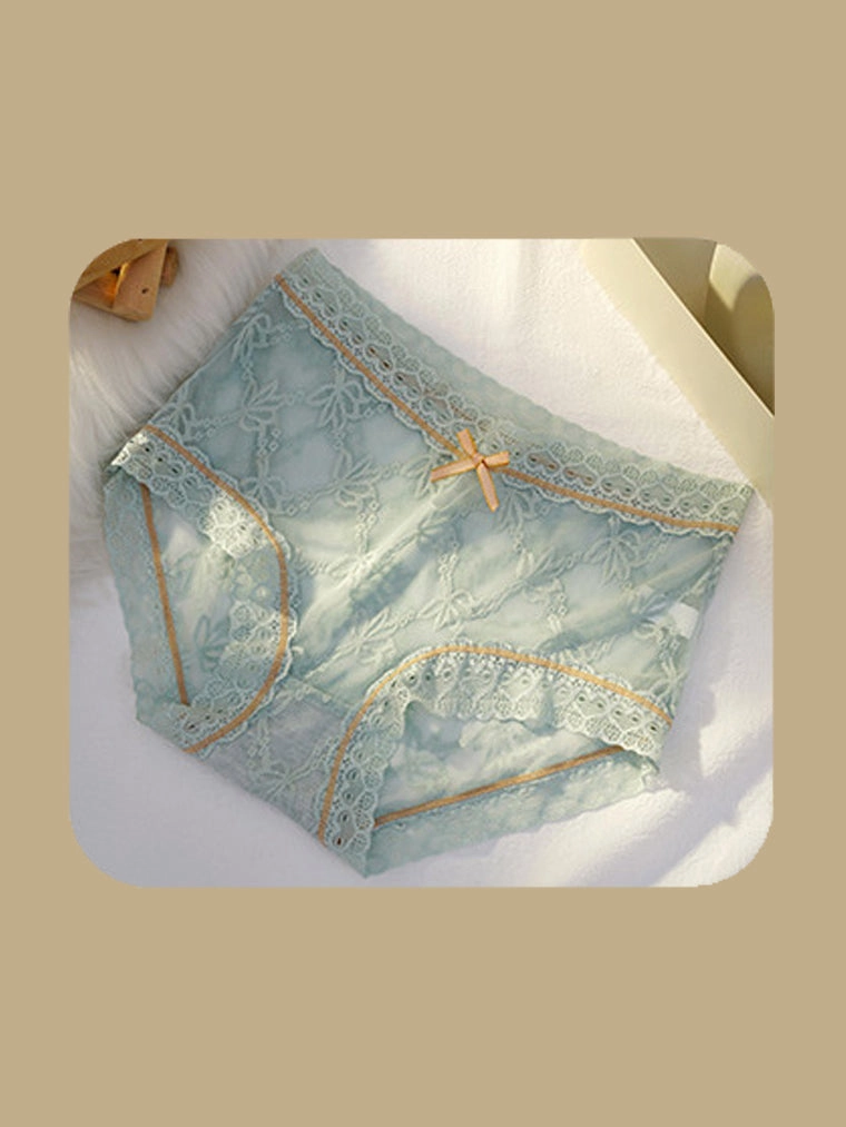 Soft Floral Lace Brief Panty