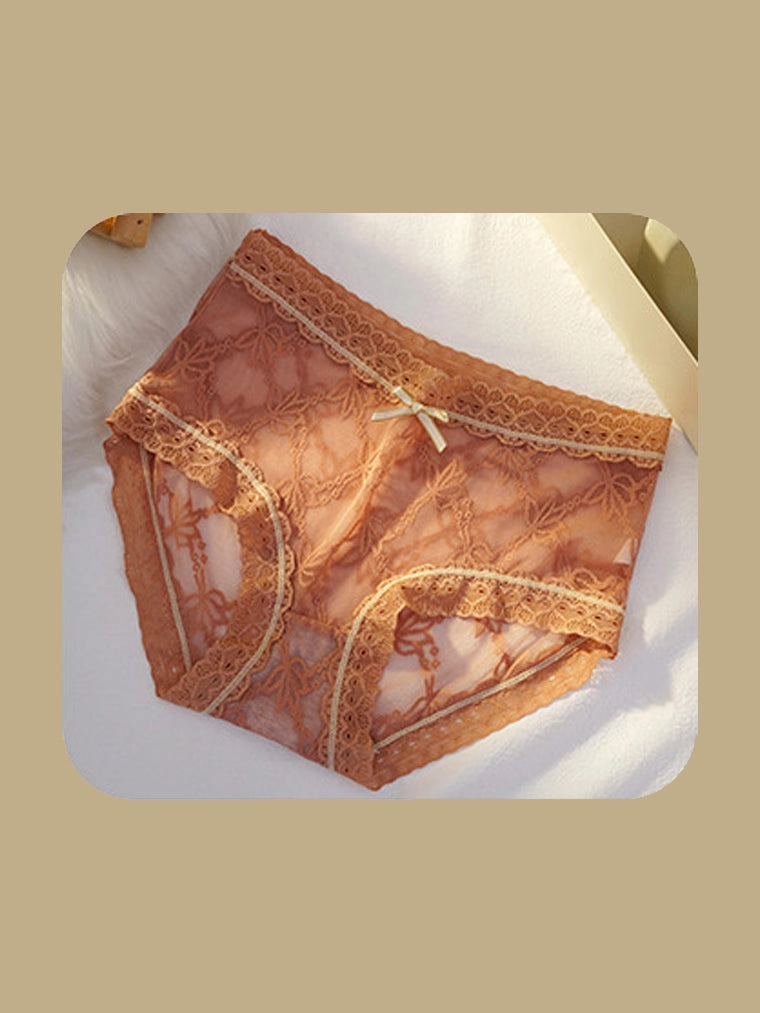 Soft Floral Lace Brief Panty