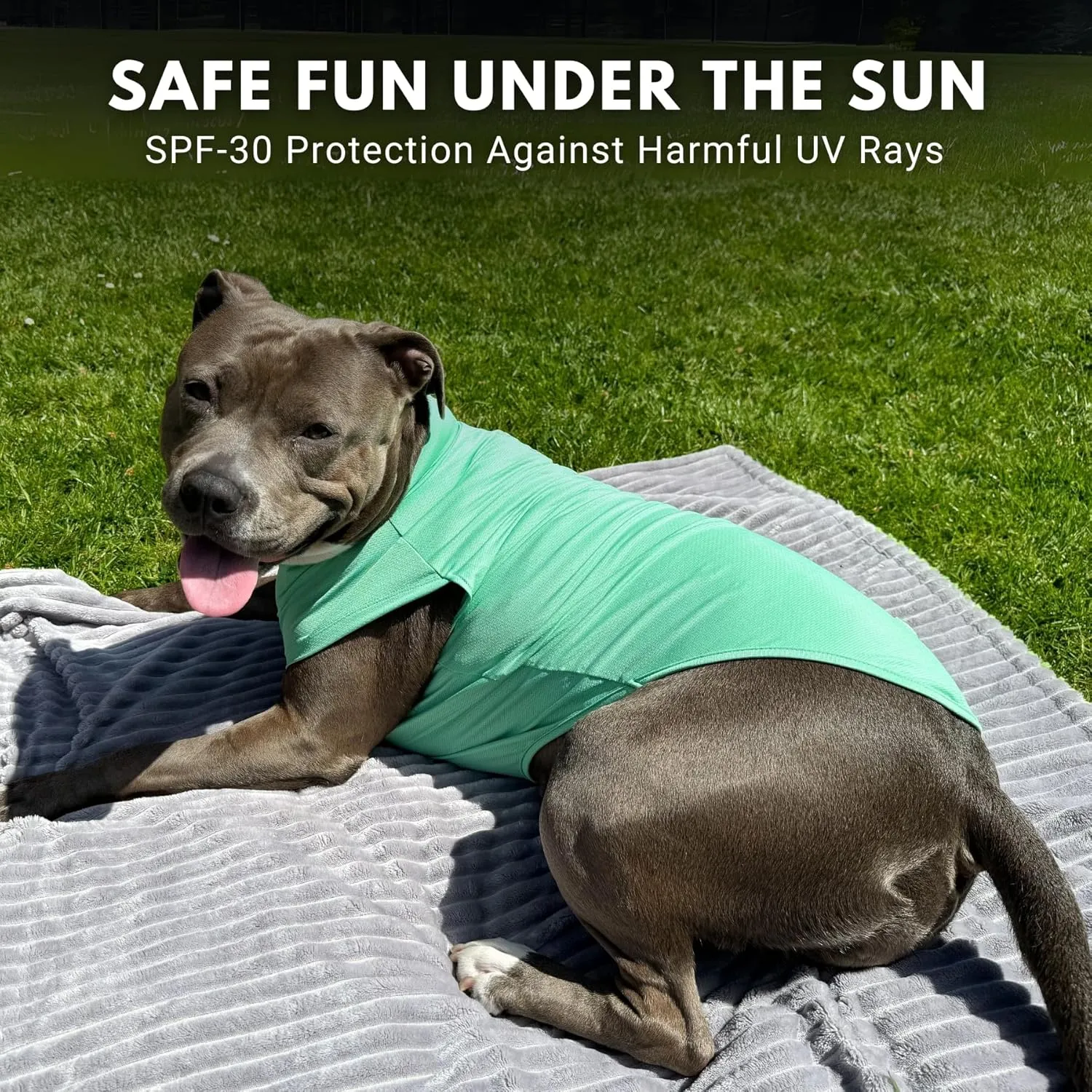 Spark Paws Dog T-Shirt, Quick Dry Soft Stretchy, Lightweight Breathable for Dogs with Sensitive Skin - Peach & Mint (Set of 2) - 2XL