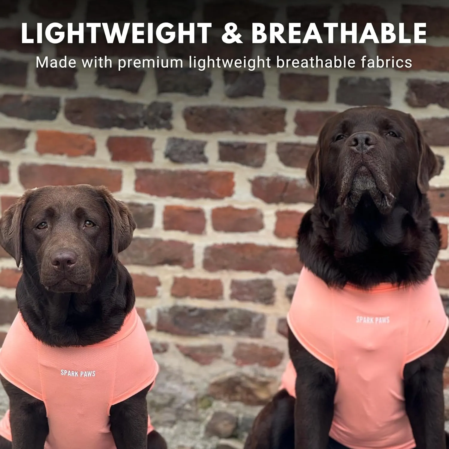 Spark Paws Dog T-Shirt, Quick Dry Soft Stretchy, Lightweight Breathable for Dogs with Sensitive Skin - Peach & Mint (Set of 2) - 2XL