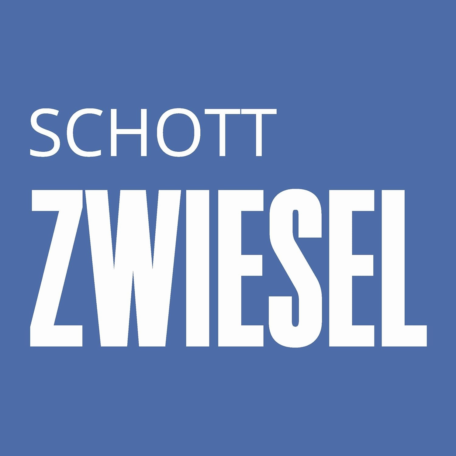 ショット・ツヴィーゼル(SCHOTT ZWIESEL) BAR Special Hurricane, 530ml, Clear